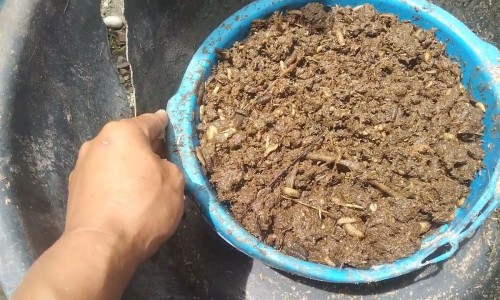 蹲起眼睛发亮头晕咳嗽出汗网- 蹲下一起来头晕眼睛发黑是怎么回事知识,分享蹲下一起来头晕眼睛发黑是怎么回事